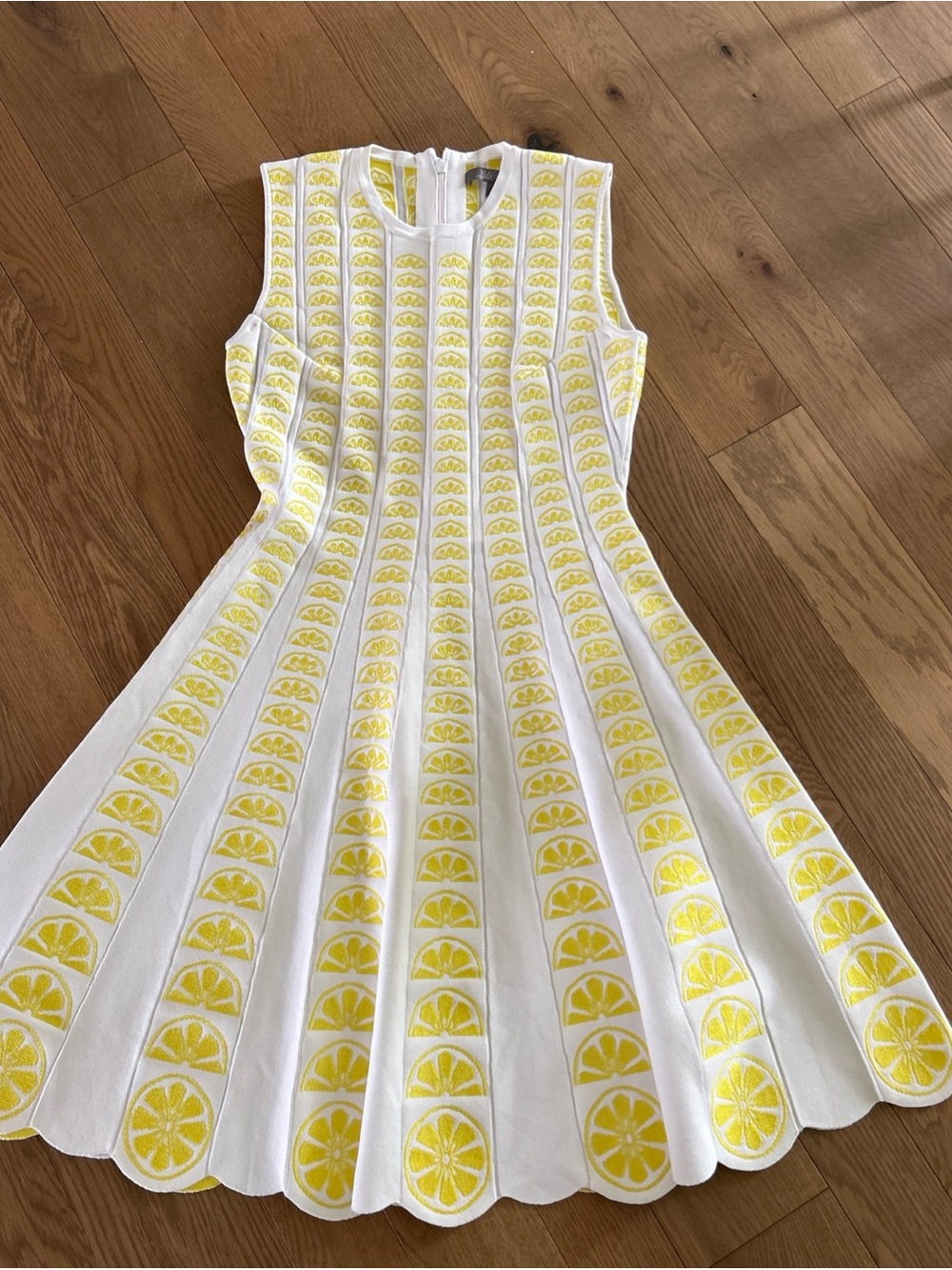 $1390 LELA ROSE size M Lemon Wedge Embroidered Knit Pleated Mini Dress SOLD OUT